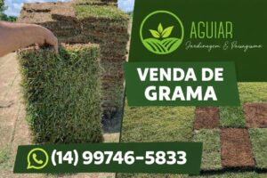 Aguiar Jardinagem