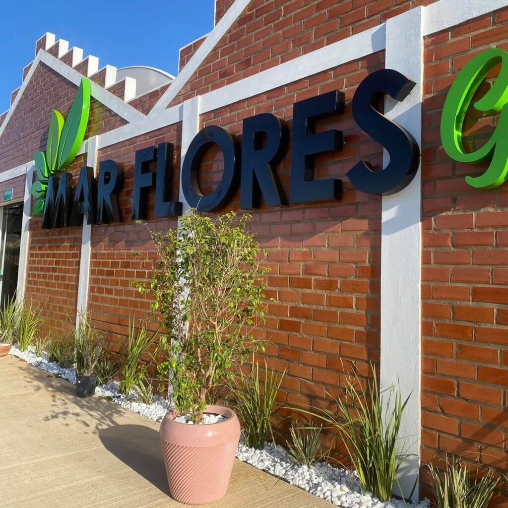 Mar Flores